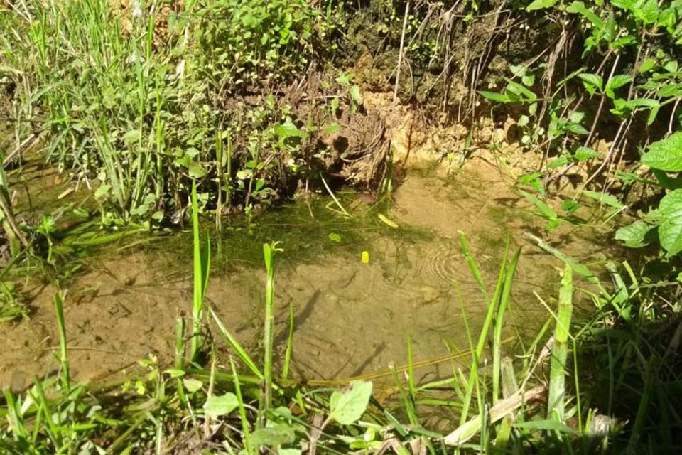 Sedam atua para revitalização de nascentes de rios degradadas no Estado; projeto inicia no rio Araras