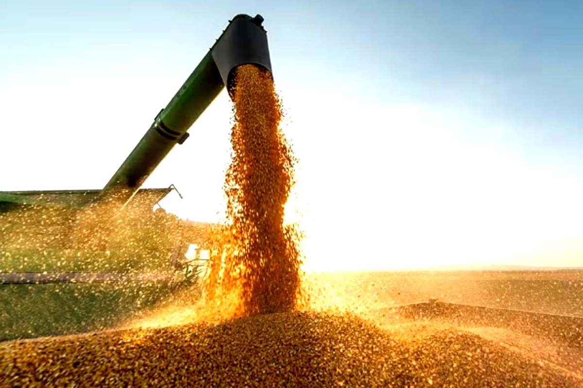 Atividade econômica brasileira cresce 0,6% em fevereiro