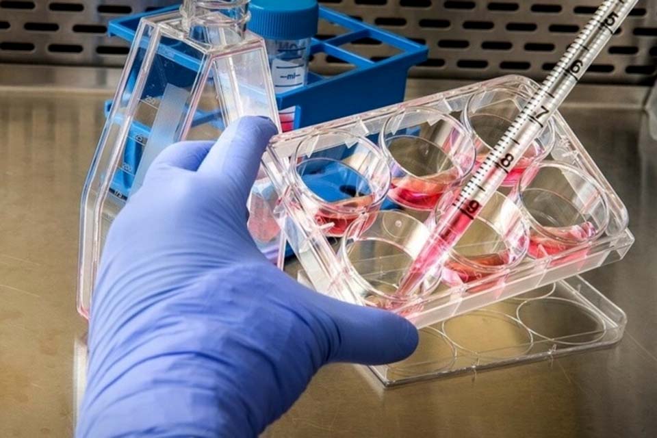 Anvisa dispensa registro de vacinas para varíola dos macacos