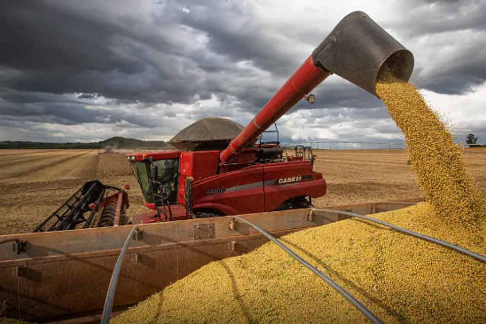 IBGE prevê safra recorde de 346 milhões de toneladas em 2025