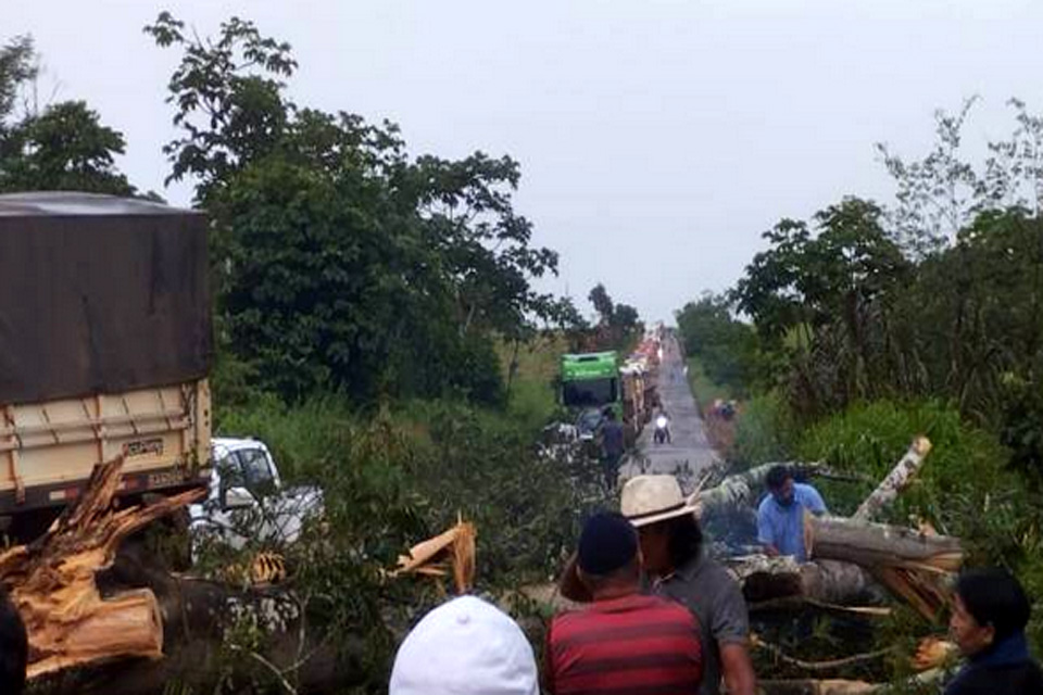  Árvore cai na pista e provoca acidente envolvendo caminhão e picape na BR 435