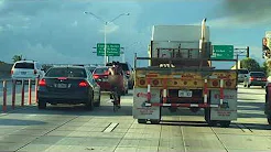 Ciclista é flagrado andando de bicicleta pelado