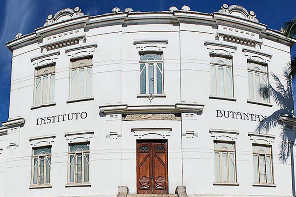 Butantan recebe autorização para iniciar testes de soro anti-covid