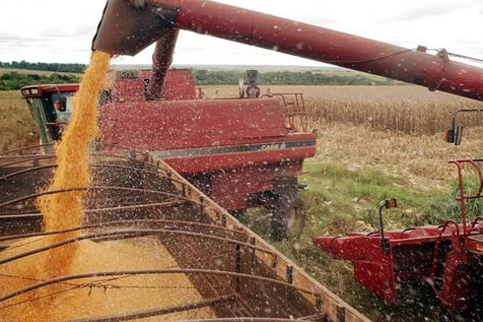 Cerca de 300 municípios registraram situação de emergência em função do clima em 2024