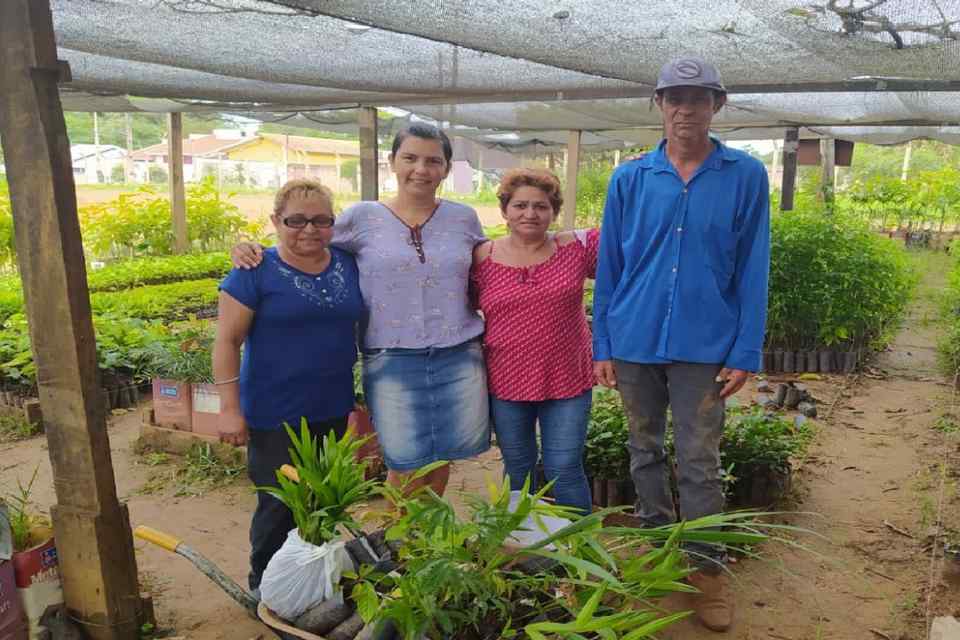 Viveiro municipal conta com milhares de mudas de árvores; todas disponíveis para a população