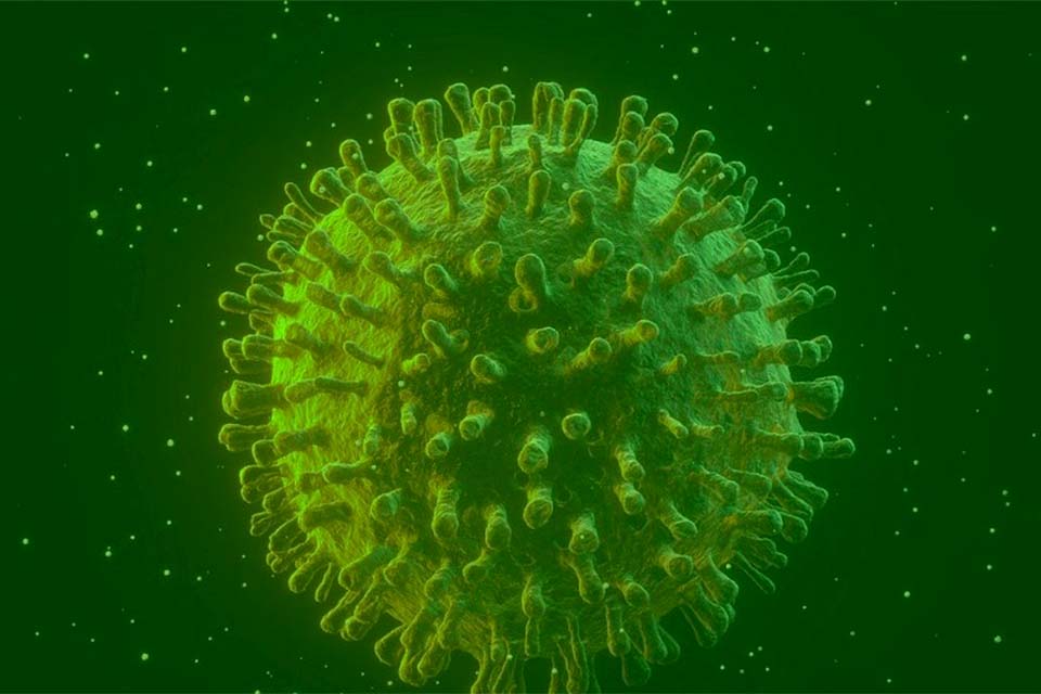 Covid-19: estudo diz que infectados podem gerar anticorpos permanentes