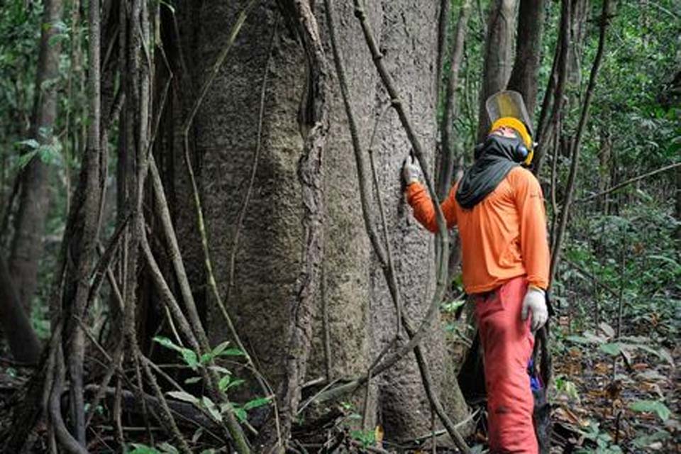 Indústria Verde: práticas industriais alinhadas à sustentabilidade impulsionam economia