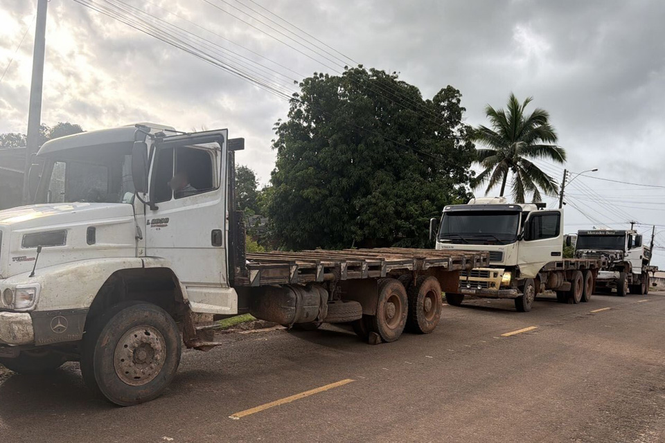 PM desarticula esquema de extração e transporte ilegal de madeira