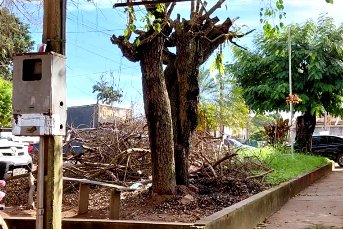 População cobra providências na limpeza de área em frente a órgãi público