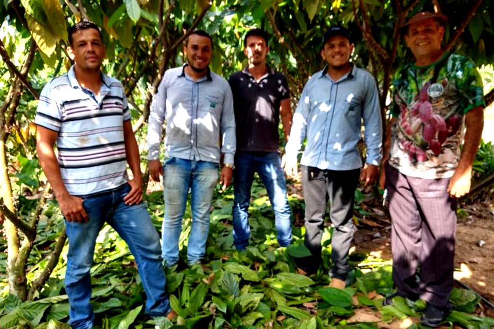 Secretaria de Agricultura de Rolim realiza coleta de hastes de cacau clonal na propriedade do Senhor Cláudio Coimbra em Jaru