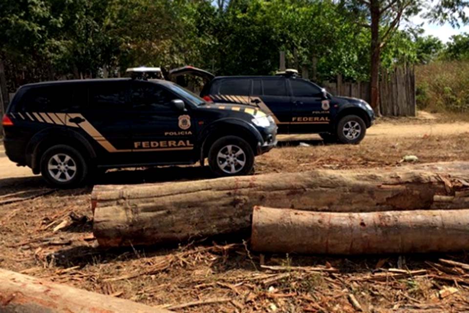 PF deflagra operação de intervenção contra grilagem em terra indígena