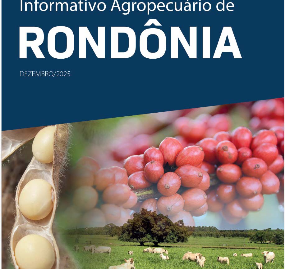 Área plantada com soja em Rondônia deve ultrapassar os 700 mil hectares na safra 2025/2026