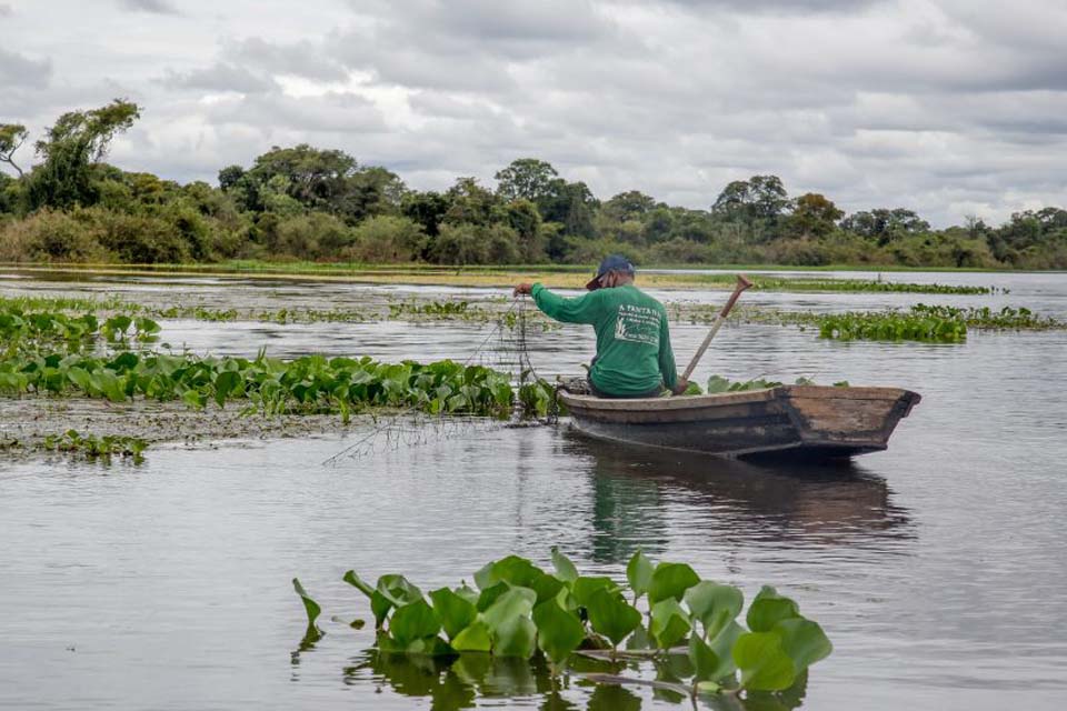 Período do defeso de algumas espécies de peixes segue nos rios de Rondônia; pesca do tambaqui está proibida até o próximo dia 31 de março
