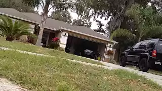 Homem flagra jacaré em esgoto perto de sua casa