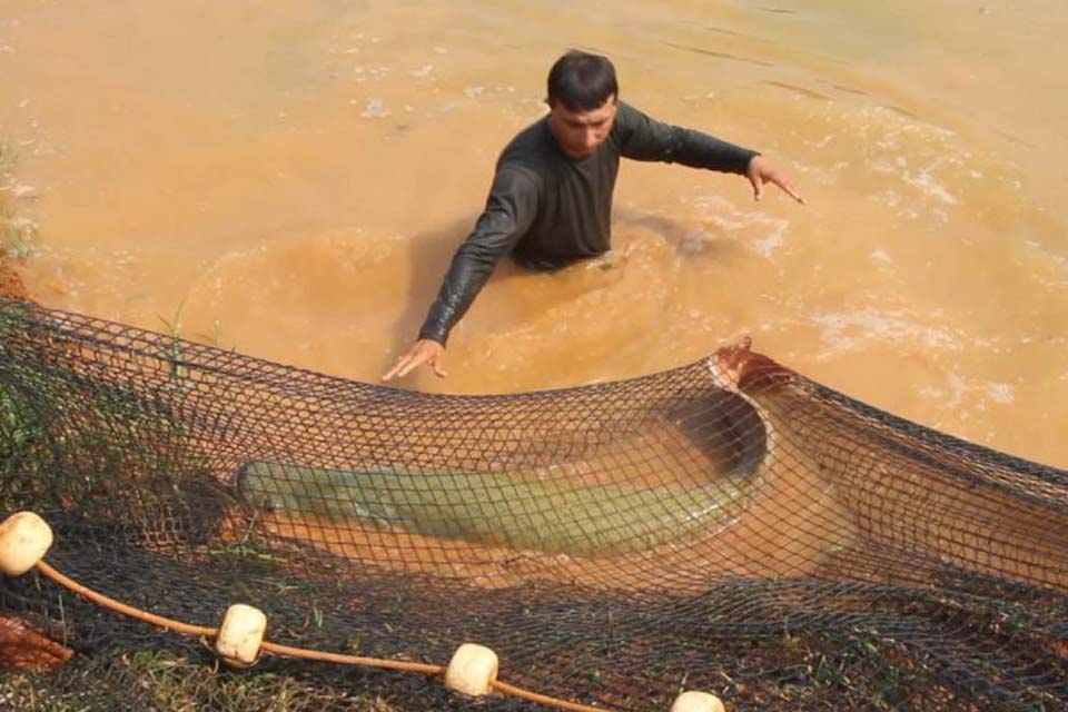 Colônias de Pescadores estão isentas da licença ambiental para rios, mas devem cumprir manejo em lagos