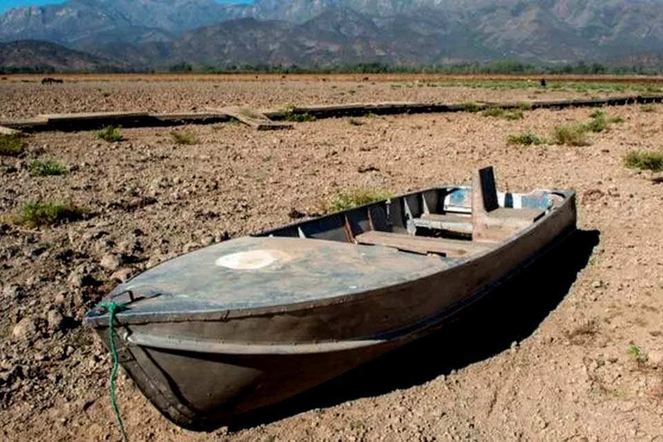 Seca no Chile: animais morrem de fome em meio à pior crise de água em 50 anos