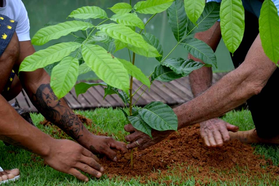 Parceria entre Sema e Cesea de Ariquemes oportuniza ressocialização a menores infratores