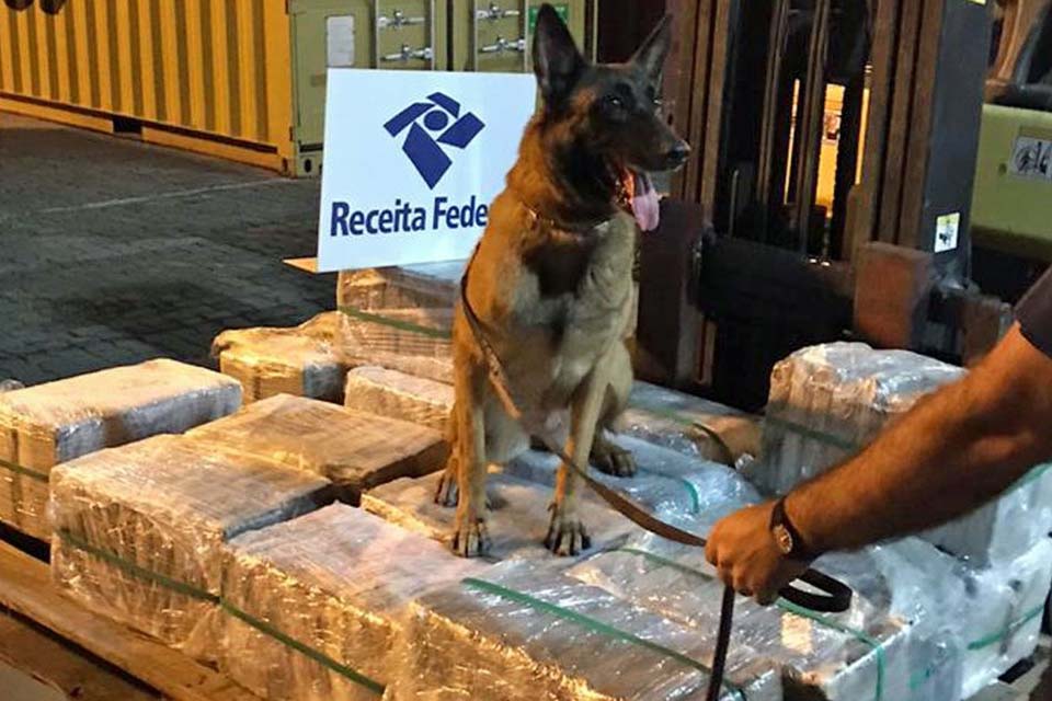 Receita Federal apreende mais de 300 kg de cocaína pura no Porto do Rio