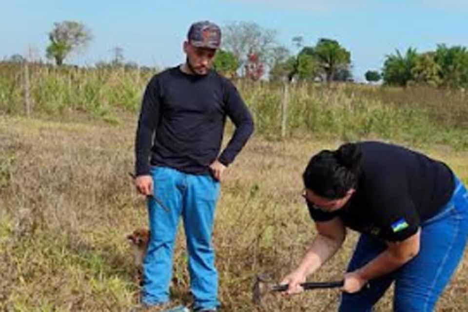 Prefeitura de Ji-Paraná fortalece ações da Semagri em apoio ao produtor rural e à formação acadêmica
