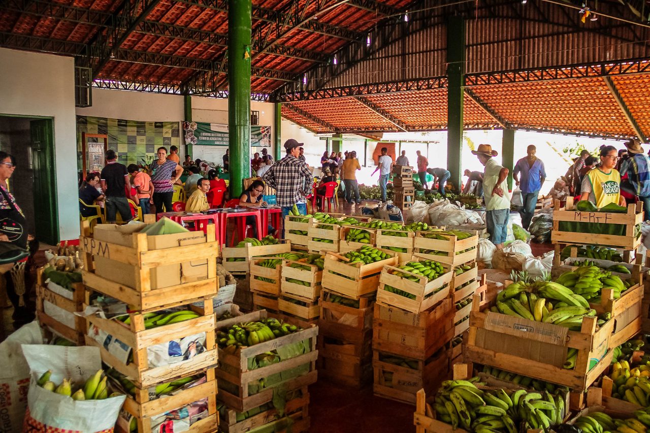 Seminário Estadual orienta produtores sobre processo de seleção e aquisição de alimentos, na Rondônia Rural Show