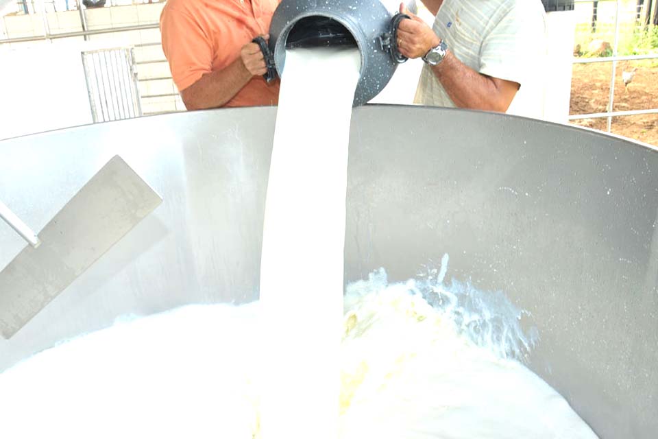 Estado pretende por em operação laboratório de qualidade do leite em 2020