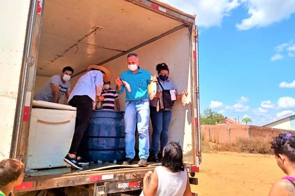 Produtores de peixes do município seguem distribuindo pescado para famílias carentes