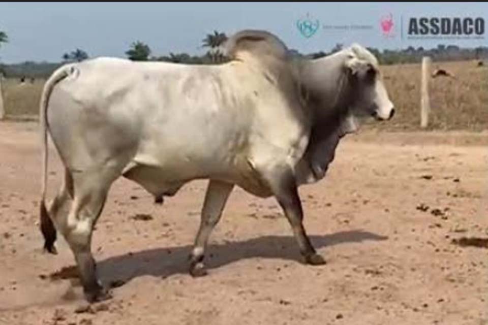 Ação solidária arrecada mais de R$50 mil; valor será utilizado pela ASSDACO nas campanhas de prevenção ao câncer